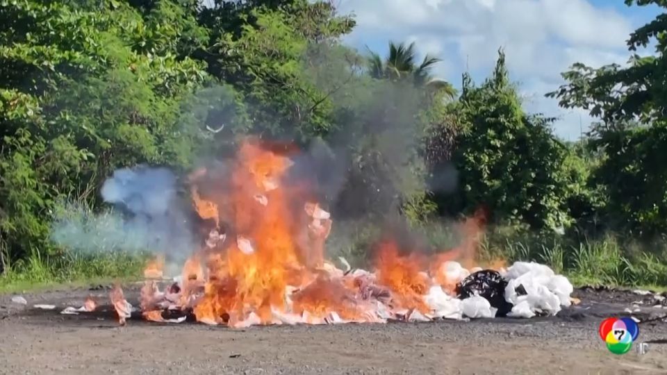 โดมินิกัน เผาทำลายยาเสพติดเกือบ 1.7 ตัน