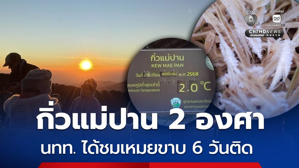 กิ่วแม่ปาน 2 องศา นทท. ได้ชมเหมยขาบ 6 วันติด