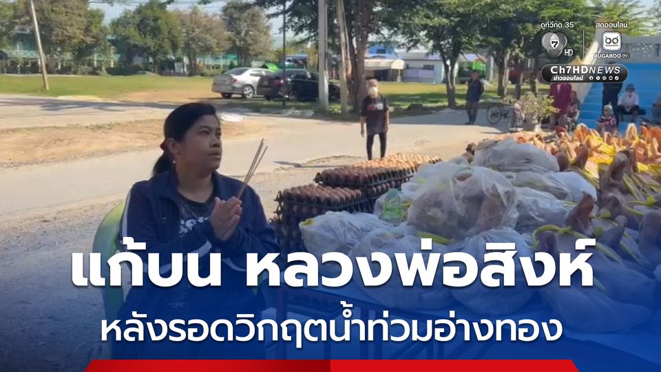 แก้บนใหญ่ หัวหมู 99 หัว ไข่ไก่ 99 แผง หลังเจ้าของแผงหมู ขอพรหลวงพ่อสิงห์ ขอให้รอดวิกฤตน้ำท่วมอ่างทอง