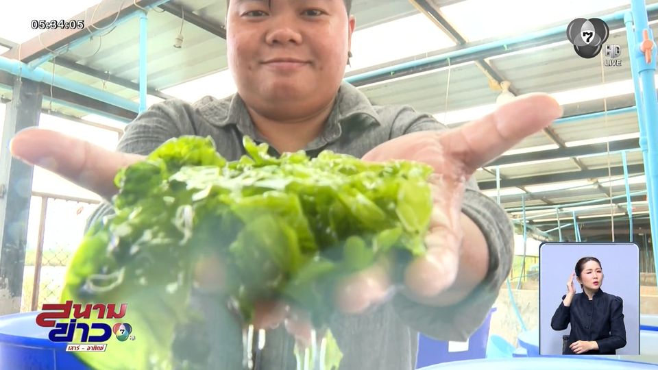 รายงานพิเศษ : ฟาร์มทะเลตัวอย่างฯ จ.เพชรบุรี พระมหากรุณาธิคุณ "พระพันปีหลวง"