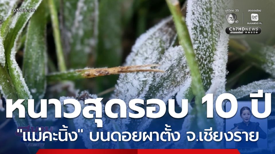 หนาวสุดในรอบ 10 ปี จ.เชียงราย