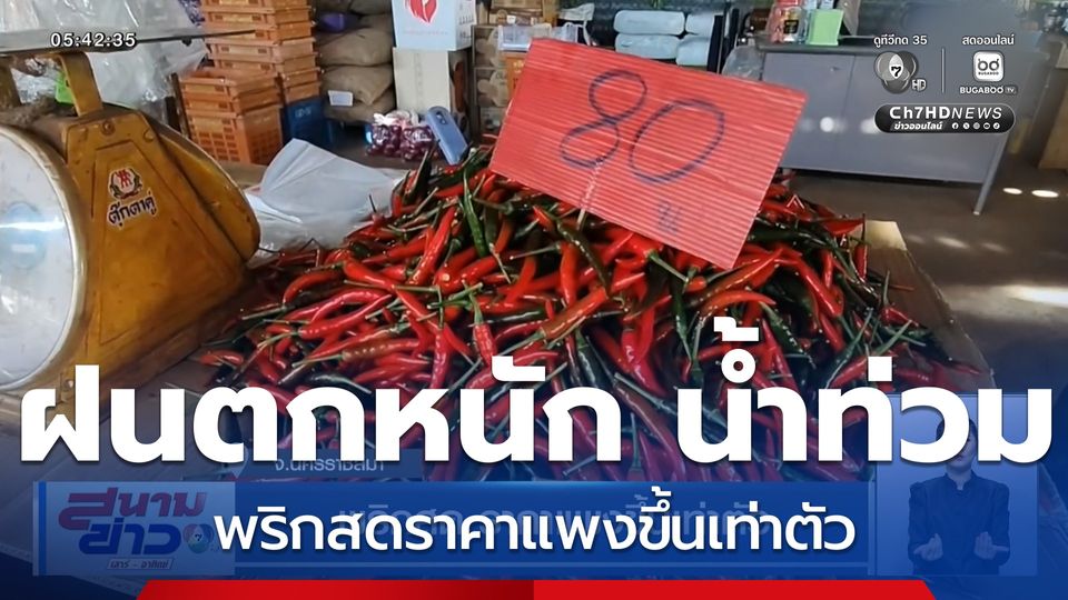 พริกสด ราคาแพงขึ้นเท่าตัว จ.นครราชสีมา