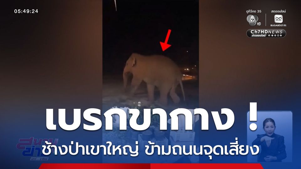 เบรกขากาง ! ข้ามถนนจุดเสี่ยง