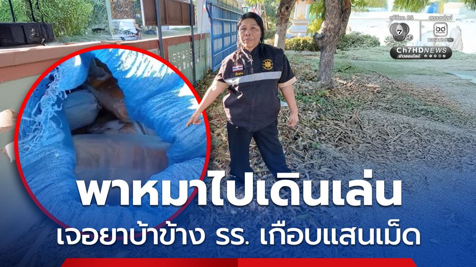 พาหมาไปเดินเล่น เจอยาบ้าข้าง รร. เกือบแสนเม็ด