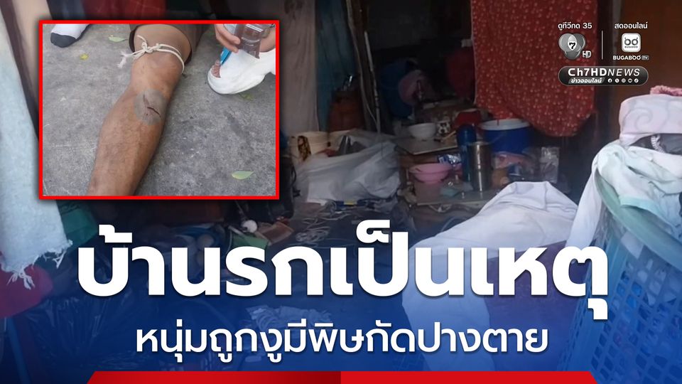 อุทาหรณ์! บ้านรกเป็นเหตุ หนุ่มถูกงูมีพิษกัดปางตาย