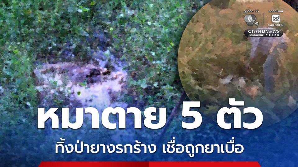 เจ้าของแทบช็อก สุนัขสุดรักถูกฆ่ายัดใส่กระสอบปุ๋ยทิ้งป่ารกร้าง คาดถูกยาเบื่อ เผย มีสุนัขตายรวม 5 ตัวแล้ว 