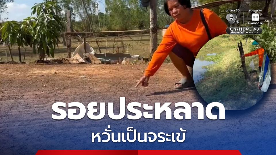 ชาวบ้านแตกตื่น หลังพบรอยประหลาดคล้ายสัตว์เลื้อยคลานขนาดใหญ่ หวั่นเป็นจระเข้