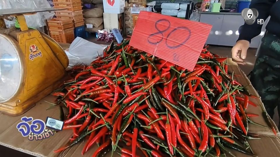 พริกสด ราคาแพงขึ้นเท่าตัว