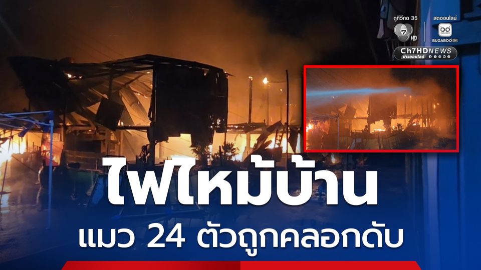 สลด! ไฟไหม้บ้านเสียหาย 2 หลัง แมว 24 ตัวถูกคลอกดับ