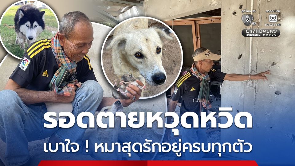 เขมรยิงถล่มบ้านรอดตายหวุดหวิด เบาใจหมาสุดรักอยู่ครบทุกตัว