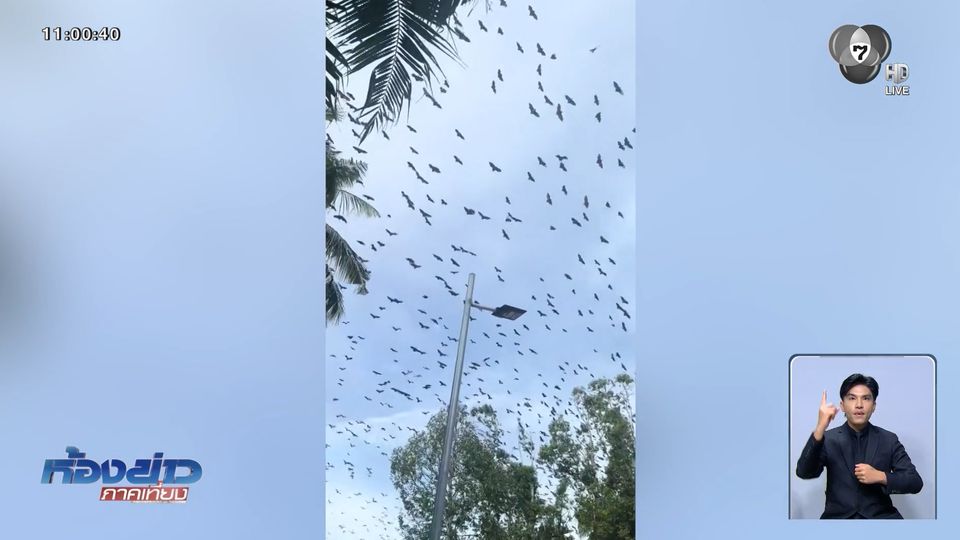 ฝูงอีกาบินว่อน เหนืองานศพทหารกัมพูชา