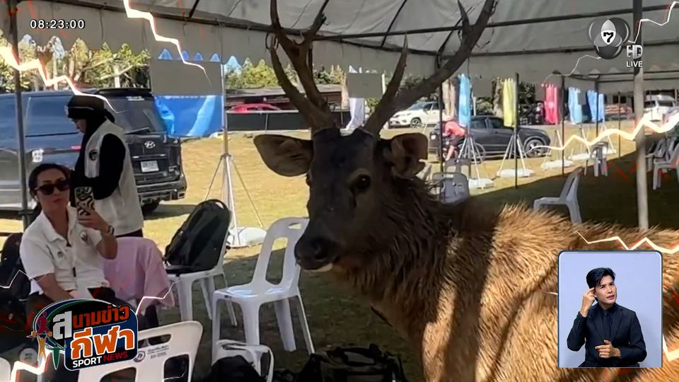 หมอชิต ติดซีเกมส์ : ทัพนักปั่นน่องเหล็กไทย กวาดแล้ว 9 เหรียญทอง งานนี้มีเคล็ดลับ