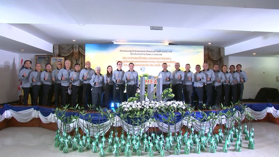 MEA ปลูกป่าชายเลนและส่งมอบเสาไฟปลดระวาง