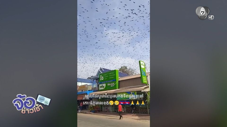 ฝูงกาบินวนเหนือพิธีฌาปนกิจทหารกัมพูชา เหมือนเป็นลางร้าย