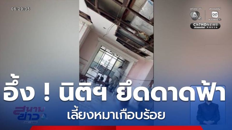 อึ้ง ! นิติฯ ยึดดาดฟ้าเลี้ยงหมาเกือบร้อย จ.นนทบุรี