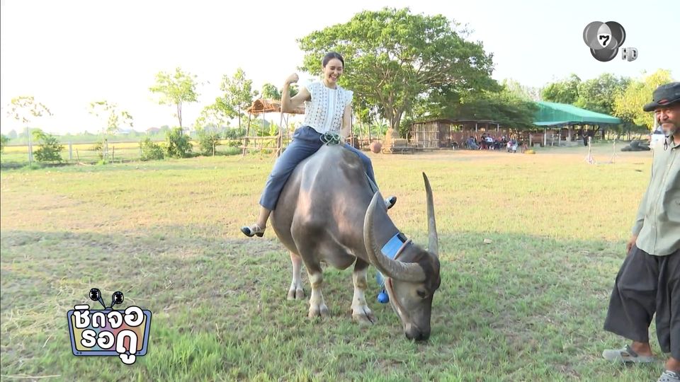 ส่องความน่ารักของเจ้านวล น้องควายที่ จาด้า เห็นแล้วต้องขอขี่ | ชิดจอรอดู | 11 ม.ค.69