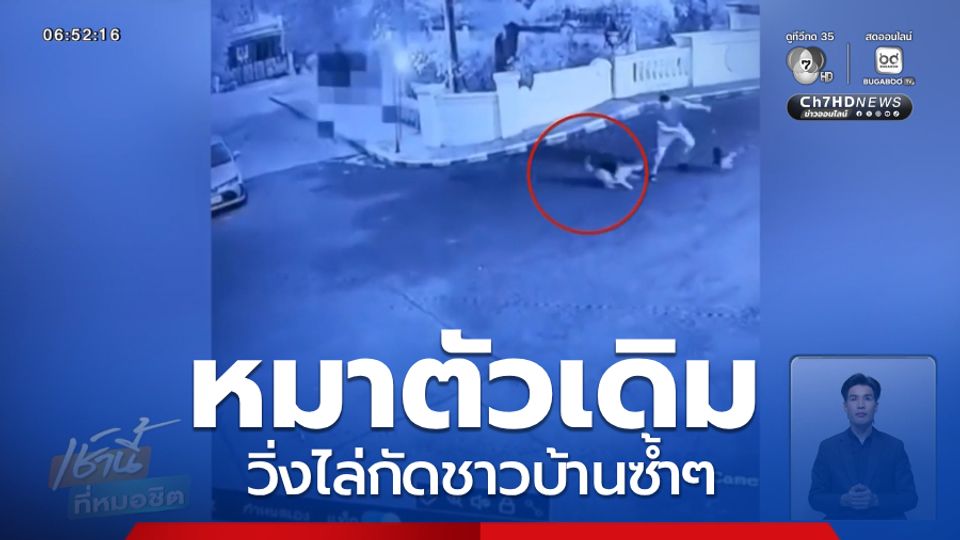 ปัญหาโลกแตก ! หมากัดเพื่อนบ้าน