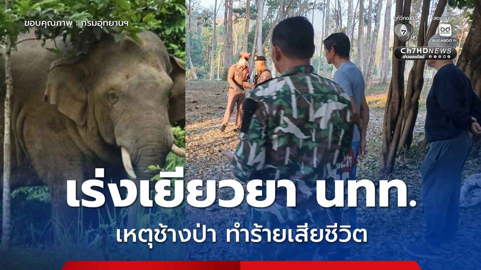 กรมอุทยานฯ เร่งพิจารณาเงินช่วยเหลือเยียวยาครอบครัวนักท่องเที่ยว ถูกช้างป่าทำร้ายเสียชีวิต