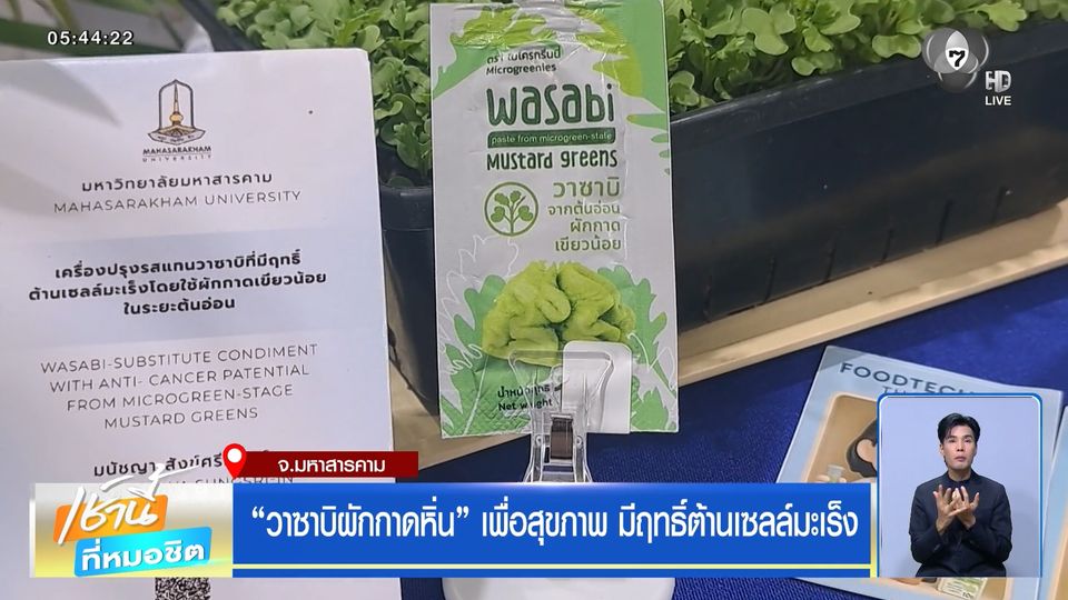 "วาซาบิผักกาดหิ่น" เพื่อสุขภาพ มีฤทธิ์ต้านเซลล์มะเร็ง