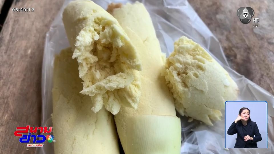 ไม่เคยเห็น "อ้อยไข่ปลา" ปลูกเจ้าแรกที่ จ.ตรัง