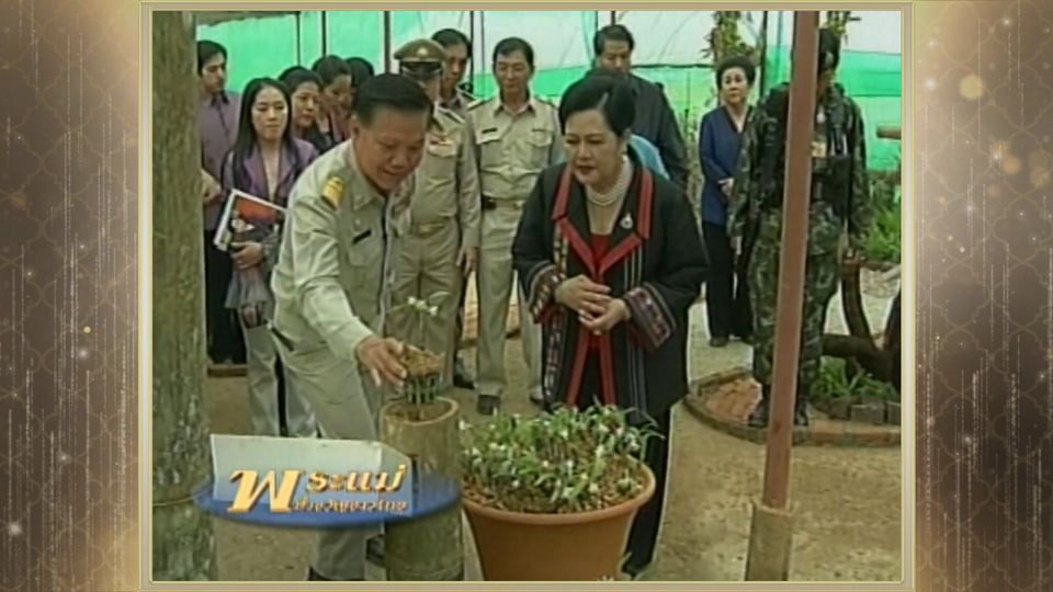 สารคดีพิเศษ พระพันปีหลวง ในดวงใจ ตอนที่ 79