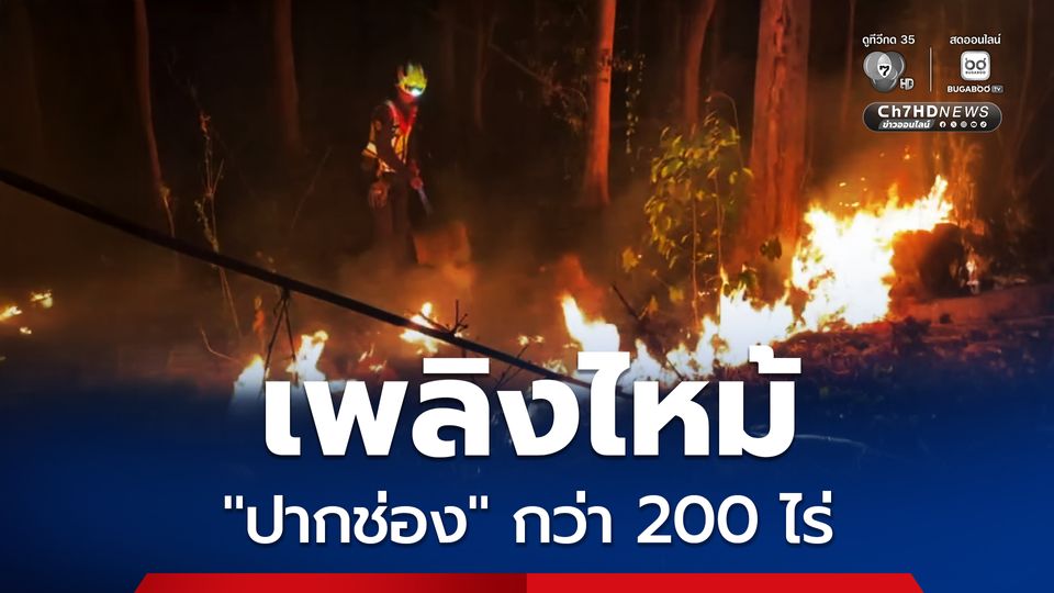 เพลิงไหม้พื้นที่ “ปากช่อง” กว่า 200 ไร่ เจ้าหน้าที่ใช้เวลากว่า 4 ชั่วโมง กว่าจะควบคุมได้