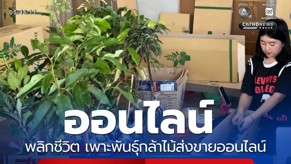 ออนไลน์พลิกชีวิต เพาะพันธุ์กล้าไม้ส่งขายออนไลน์