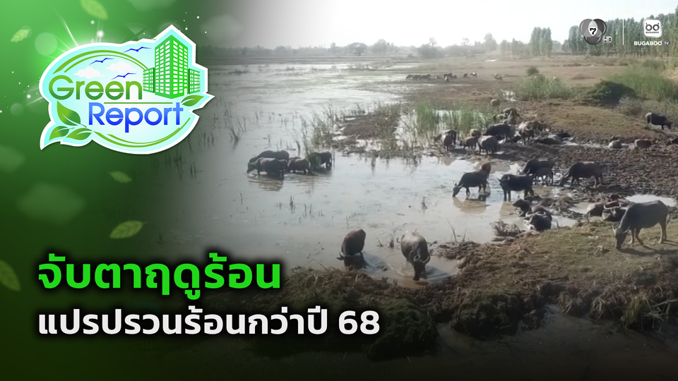 Green Report : จับตาฤดูร้อน แปรปรวนร้อนกว่าปี 68