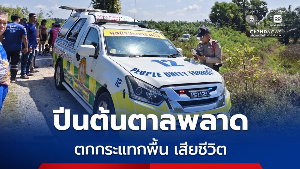 หญิงวัย 73 ปี ปีนต้นตาลพลาด ตกกระแทกพื้นเสียชีวิต