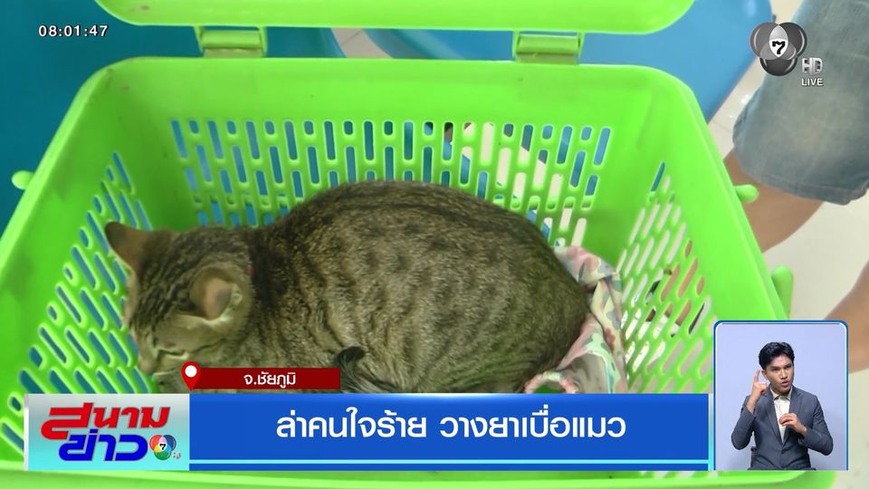 ล่าคนใจร้าย วางยาเบื่อแมว