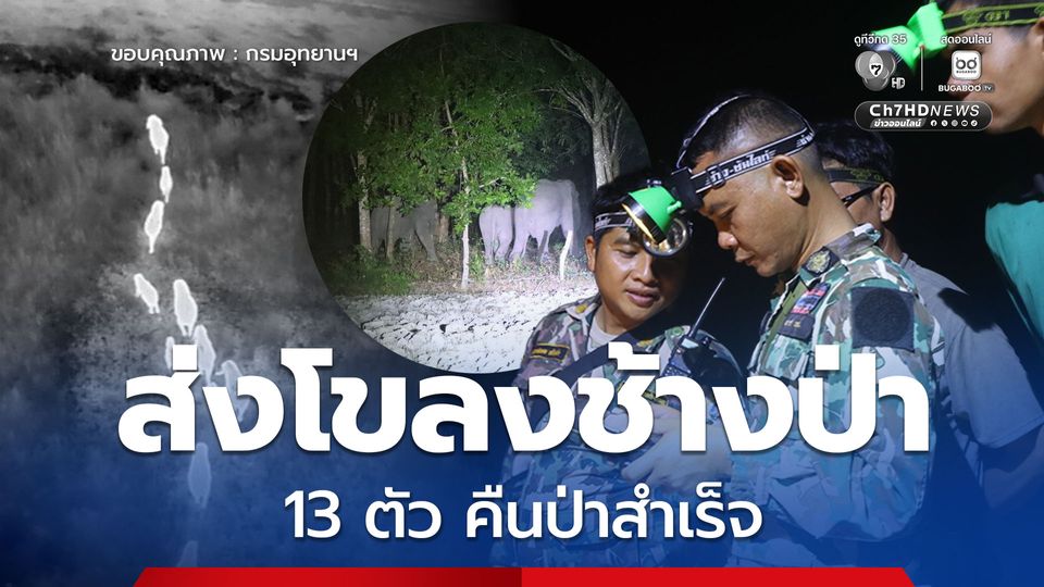 สนธิกำลังเฝ้าระวังเข้ม ใช้โดรนติดตามโขลงช้างป่า 13 ตัว ส่งคืนป่าสำเร็จ