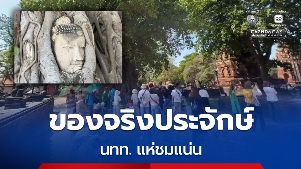 ของจริงสวยประจักษ์ “เศียรพระพุทธรูปในรากโพธิ์” อยุธยา นทท. ต่างชาติแห่ชมตรึม