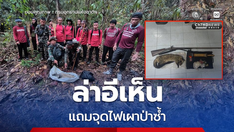 ล่าอีเห็น แถมจุดไฟเผาป่าซ้ำ