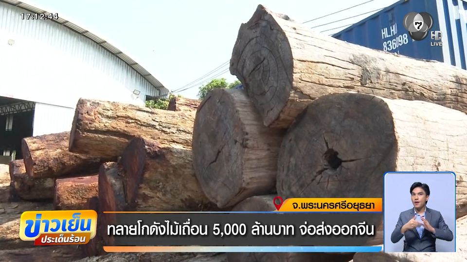 ทลายโกดังไม้เถื่อน 5,000 ล้านบาท จ่อส่งออกจีน