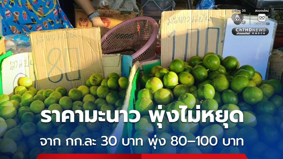 ราคามะนาวในตลาดท่ากลาง จ.ตรัง จากกิโลกรัมละ 30 บาท พุ่งแตะ 80–100 บาท