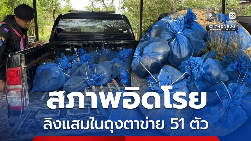 กกล.บูรพา ยึดลิงแสม 51 ตัว คาดขบวนการค้าสัตว์ป่าทิ้งของกลางหลบหนี