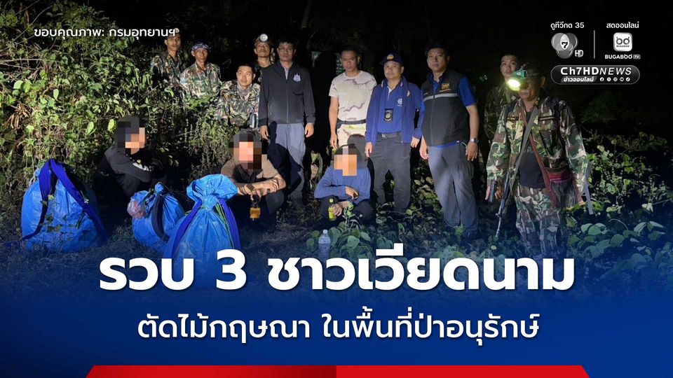 ทีมเจ้าหน้าที่รวบแก๊งชาวเวียดนาม 3 คน ลักลอบตัดไม้กฤษณา ในพื้นที่ป่าอนุรักษ์เพชรบูรณ์ 