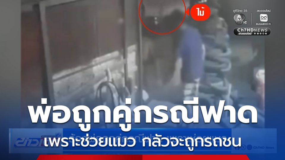 ร้องพ่อถูกคู่กรณีฟาด เพราะช่วยแมว