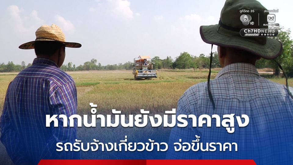 ชาวนาเกี่ยวข้าว ขายได้ในราคาตกต่ำ สวนทางราคาน้ำมัน
