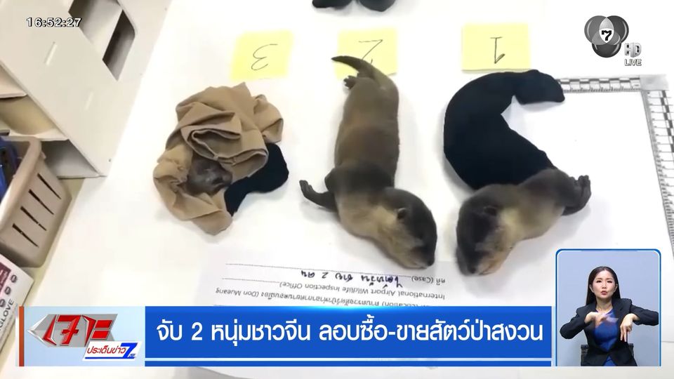 จับ 2 หนุ่มชาวจีน ลอบซื้อ-ขายสัตว์ป่าสงวน