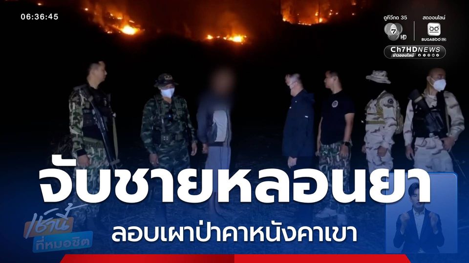 จับชายหลอนยา จุดไฟเผาป่า จ.เชียงใหม่