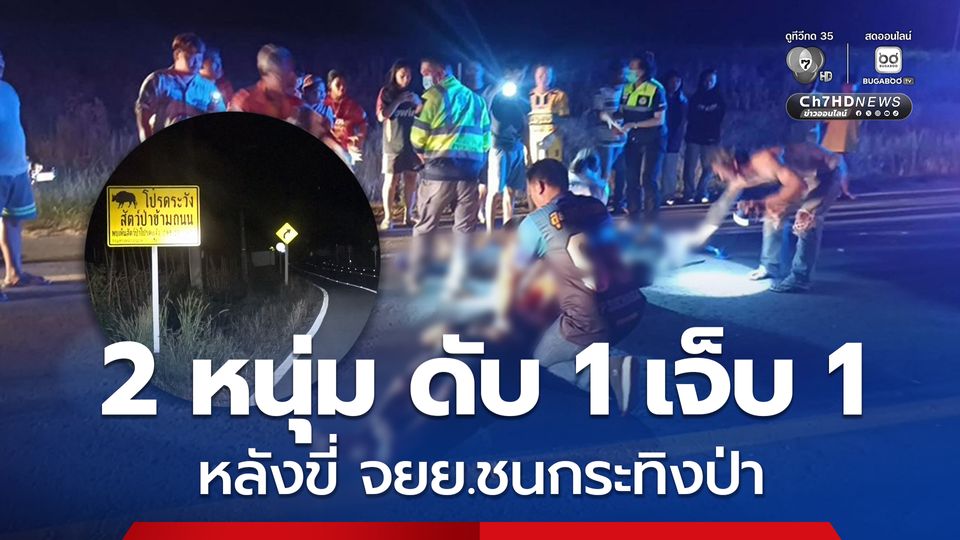 2 หนุ่มขี่รถจักรยานยนต์ชนกระทิงป่า ขณะข้ามถนน ส่งผลให้เสียงชีวิต 1 คน บาดเจ็บสาหัส 1 คน