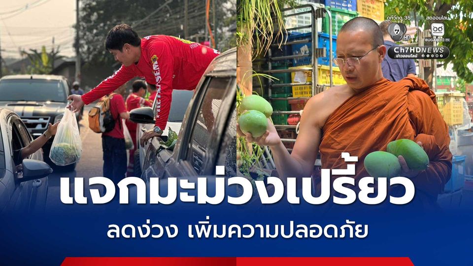 วัดเจดีย์หลวง แจกมะม่วงเปรี้ยว ลดง่วง เพิ่มความปลอดภัย