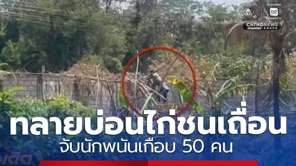 บุกทลายบ่อนไก่ชนเถื่อน จับนักพนันเกือบ 50 คน