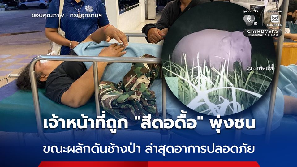 ปลอดภัยแล้ว ! เจ้าหน้าที่หญิงชุดผลักดันช้างป่า ถูก “สีดอดื้อ” พุ่งชนขณะปฏิบัติหน้าที่ 