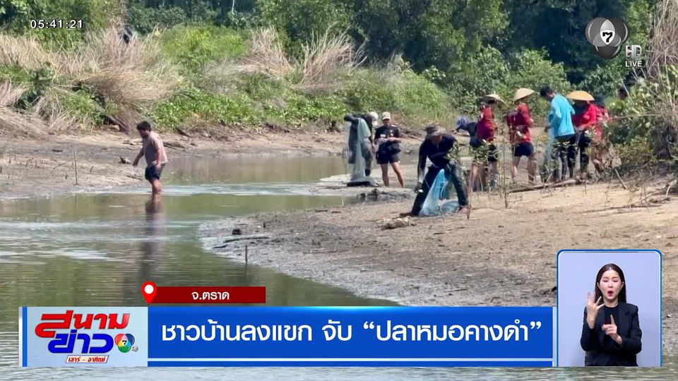 ชาวบ้านลงแขก จับปลาหมอคางดำ