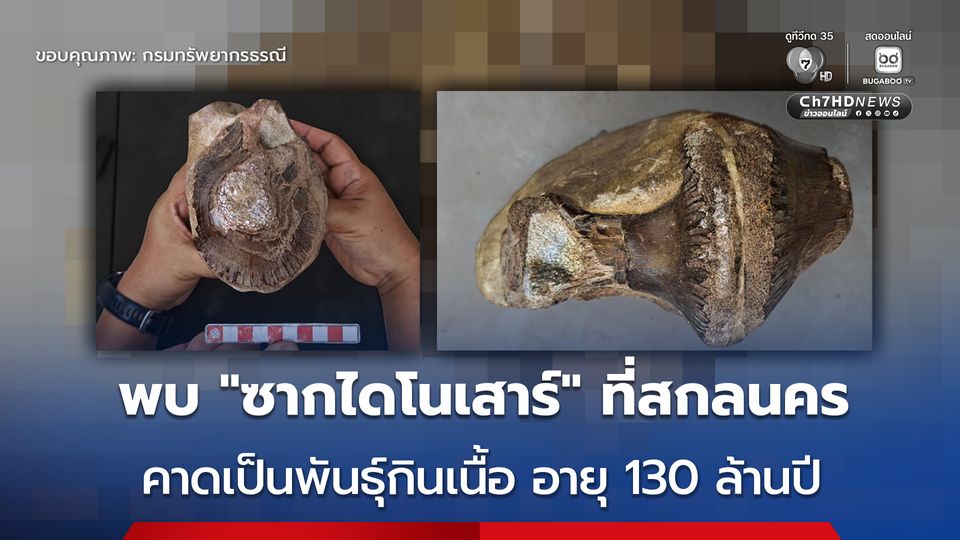 พบ “ซากดึกดำบรรพ์ไดโนเสาร์” บริเวณภูผาด่าง จ.สกลนคร คาดอายุราว 130 ล้านปี