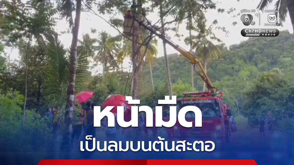 หนุ่มใหญ่ ปีนต้นสะตอสูง 6 เมตร เก็บฝักส่งขาย แต่แดดแรงจัด เป็นลมค้างอยู่บนต้น กู้ภัยเร่งช่วยเหลือวุ่น
