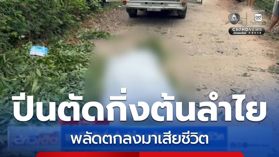 ชายปีนตัดกิ่งต้นลำไย พลัดตกลงมาเสียชีวิต