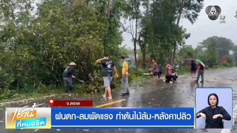 ฝนฟ้าอากาศเช้านี้ 13 ก.ค.69 | ฝนตก-ลมพัดแรง ทำต้นไม้ล้ม-หลังคาปลิว จ.ตราด